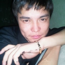 �����, ������, 41 ���