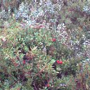 ���� ������, �������, 66 ��� - ��������� 23 ������ 2012