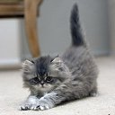 � ����� �������� ���� vk.com/fotiko �� ������� ���� ����������