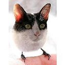 ���� ����, �����-���������, 63 ���� - ��������� 27 ��� 2012