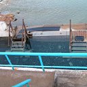 ���� �����, �����������, 36 ��� - ��������� 27 �������� 2010 � ������ �� � ��������