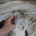 ���� ��� ����, ������, 24 ���� - ��������� 25 ����� 2010 � ������ ���� �����