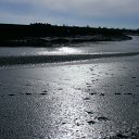 ���� Malush, �������, 51 ��� - ��������� 5 ������ 2011 � ������ ���� ����������