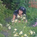 ���� �����, ���������, 52 ���� - ��������� 29 ���� 2013 � ������ ���� ����������