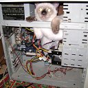 ���� �����, ��������, 48 ��� - ��������� 10 ���� 2010 � ������ �����