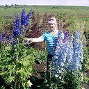 ���� �������, ���� - ��������� 12 ���� 2011 � ������ ���� ����������