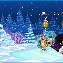 ���� ������, ��������, 55 ��� - ��������� 6 ������ 2012 � ������ �PetLove�