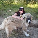 ������� �������� �� ��������� �� ������� ���� ����������