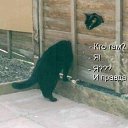 ���� Gnom, ���������, 39 ��� - ��������� 28 ������ 2010 � ������ �������� � ��������� ;-)�