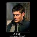 ���� Genevieve, ������, 45 ��� - ��������� 22 �������� 2010 � ������ �������ۻ