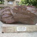  (  ),  , 54  -  3  2010    