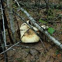 ���� ������, �����������, 60 ��� - ��������� 5 ���� 2012 � ������ ���� ����������