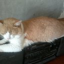 ���� Ivan, ������ �������� - ��������� 4 ������� 2013 � ������ ���� ����������