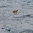 ���� ��������, ������ - ��������� 21 ����� 2012 � ������ �������� �����