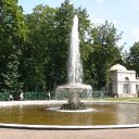 ���� ����, �����-���������, 52 ���� - ��������� 20 ������ 2010 � ������ ���� ����������