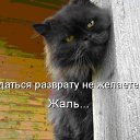 ���� ������, ����������, 54 ���� - ��������� 13 �������� 2011 � ������ �������