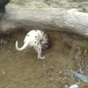 ���� ������, �������, 29 ��� - ��������� 27 ��� 2010 � ������ �����