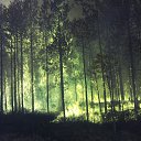 ���� C���, �����-��������, 48 ��� - ��������� 17 ������ 2013 � ������ ���� ����������