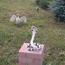 ���� ������, ������ ��������, 50 ��� - ��������� 19 ���� 2013