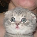 ���� ������, ������, 62 ���� - ��������� 29 ������� 2011