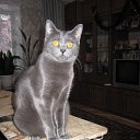 ���� ������ ����, ������, 46 ��� - ��������� 5 ������ 2013 � ������ ���� ����������