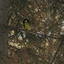 ���� �.�., ������, 46 ��� - ��������� 24 ������ 2010