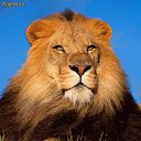 ���� Donish, ������, 47 ��� - ��������� 20 ����� 2012 � ������ ���� ����������