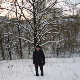 ������, ��������, 44 ����