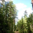 ���� �������, �����-���������, 40 ��� - ��������� 24 ������� 2011