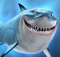 ���� �������, �����������, 40 ��� - ��������� 20 �������� 2011