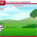 ���� ����, ������, 39 ��� - ��������� 13 �������� 2010 � ������ �PetLove�