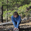 ���� ��������, ���������� - ��������� 3 ��� 2013 � ������ ���� ����������