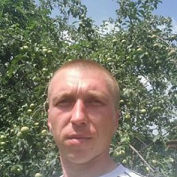 ����, �������, 41 ���