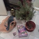 ���� ������, ������-��-����, 39 ��� - ��������� 26 ������ 2011 � ������ �RoadKing�