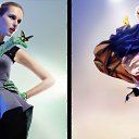 ���� �����, ����� - ��������� 24 ������ 2010 � ������ �������