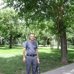 ���� ������, �����, 54 ���� - ��������� 1 ���� 2013