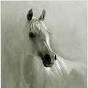 ���� �������, ��, �������� - ��������� 15 ������� 2012 � ������ �������...�