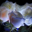 ���� ������, ���������, 65 ��� - ��������� 24 ������� 2013 � ������ ������ ������ !!!�