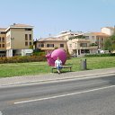 ���� ���, ������ ��������, 50 ��� - ��������� 24 ������� 2010 � ������ �������, ������, ���� 2010 ����