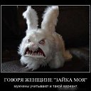 ���� ����, ���������� - ��������� 10 ������ 2010 � ������ ��������������