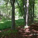  , , 41  -  15  2010   ~   @ ~