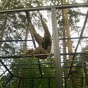 ���� Anna, �������, 45 ��� - ��������� 5 ������� 2011 � ������ ��������