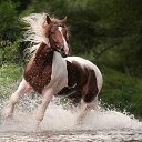 ���� �������, �������������, 64 ���� - ��������� 13 ������ 2012 � ������ ��������