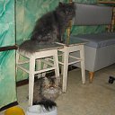 ���� �������, ������ ��������, 63 ���� - ��������� 25 ������ 2010 � ������ �������