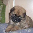 ���� �, �����-���������, 50 ��� - ��������� 9 �������� 2010 � ������ �������