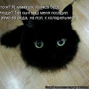 ���� ��������, �������� - ��������� 11 ����� 2012 � ������ �������� ��������