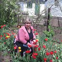 � ������ � ���� 2011� �� ������� ���� ����������