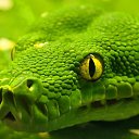 ���� ������, ������� - ��������� 20 ������� 2012 � ������ ������ ��������