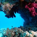 ���� ������, ������ - ��������� 18 ������ 2011 � ������ ���� ����������