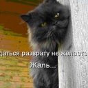 ���� ������, ����������, 54 ���� - ��������� 7 ������� 2011